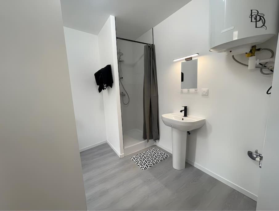 T1 Bis Appartement B3 30M2 Cosy 7Min A Pieds Des Gares Roanne Exterior foto